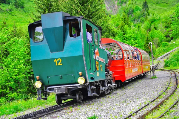 Trem de Rothorn para Brienz . — Fotografia de Stock