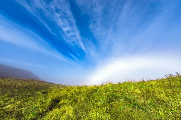 Облачный пейзаж над лугом . — стоковое фото