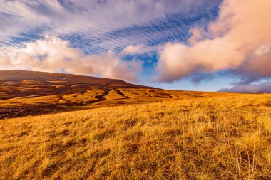 Şaşırtıcı cennet dağ çayır yukarıda.