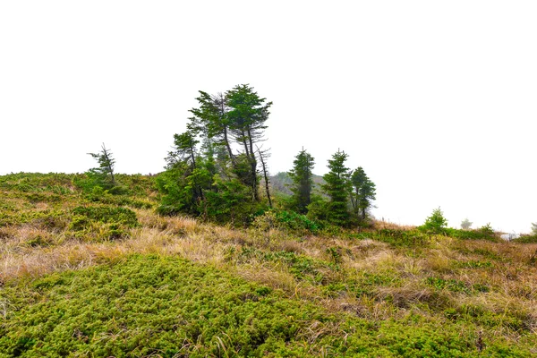 Gebirgslandschaft. — Stockfoto