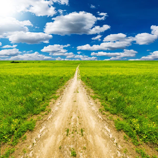 Strada sul campo con fiori . — Foto Stock