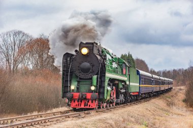 Buhar treni sonbahar günü hareket eder..