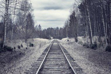 Sonbahar ormanındaki tek demiryolu hattı. Rusya.