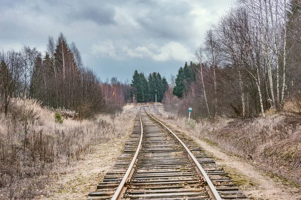 Singola Linea Ferroviaria Nella Foresta Autunnale Russia — Foto Stock