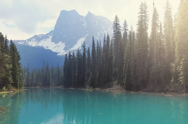 Emerald Lake Spring Morning Yoho National Park Canada — Stock Photo, Image