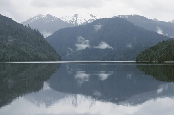 Spring Forest Ocean Coast British Columbia Canada — Stock Photo, Image