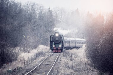 Buhar treni sonbahar sisli sabahında hareket eder..