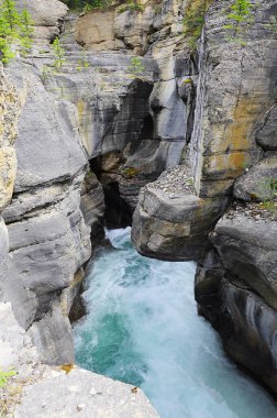 Vancouver 'dan Calgary' ye giden uzun bir yük treni var. Louise Gölü istasyonu. Kanada.