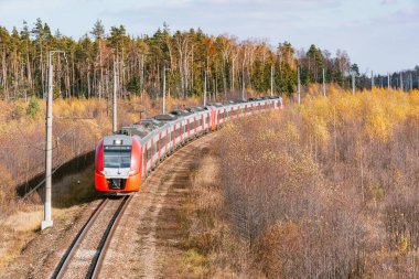 Şehirlerarası yolcu treni sonbahar sabahı istasyona yaklaşır..
