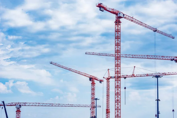 Cranes Construction Site Working Day Time — Stock Photo, Image