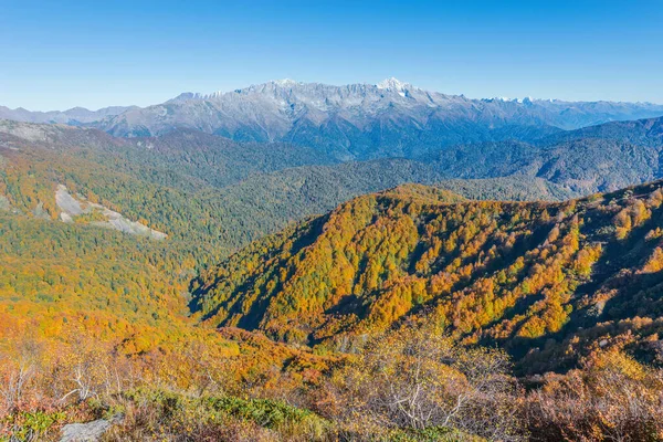 Mountain Forest View Autumn Evening Time Sochi Russia — Stock Photo, Image