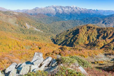 Sonbahar akşamında dağ ormanı manzarası. Soçi. Rusya.