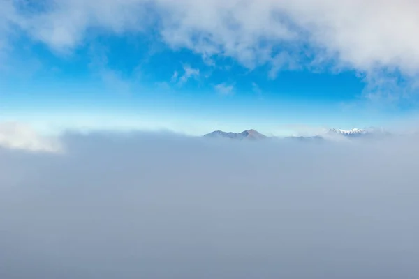 Bergbos Uitzicht Herfst Avonds Tijd Sotsji Rusland — Stockfoto