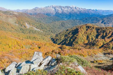 Sonbahar akşamında dağ ormanı manzarası. Soçi. Rusya.