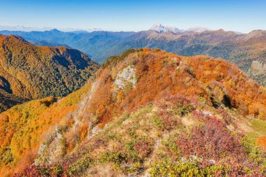 Sonbahar akşamında dağ ormanı manzarası. Soçi..