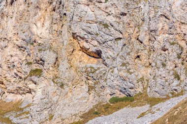 Renkli kayalık arkaplan dokusu. Dağ duvarı yüzeyi.