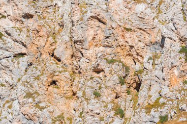 Renkli kayalık arkaplan dokusu. Dağ duvarı yüzeyi.