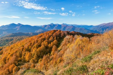Sonbahar akşamında dağ manzarası. Kafkaslar. Rusya.