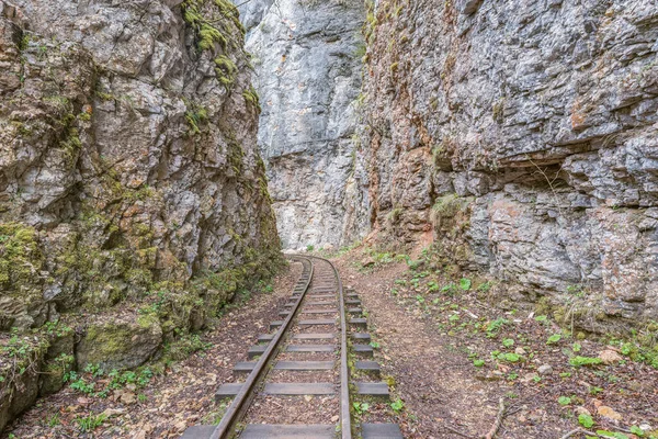 Narrow Gauge Railway Deep Narrow Guam Canyon Western Caucasus Russia — Stock Photo, Image