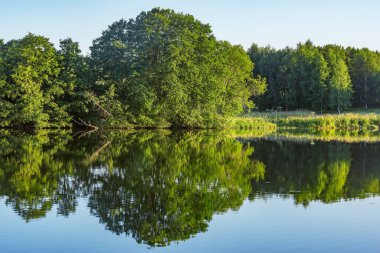 Yaz günbatımında göl kenarındaki ağaçlar.