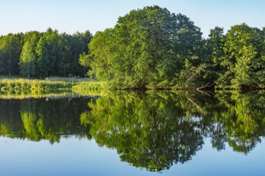 Yaz günbatımında göl kenarındaki ağaçlar.
