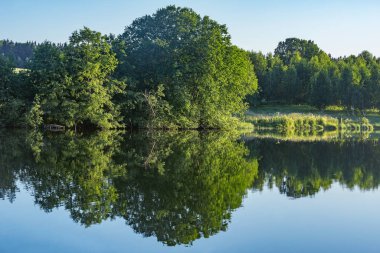 Yaz günbatımında göl kenarındaki ağaçlar. Rusya.