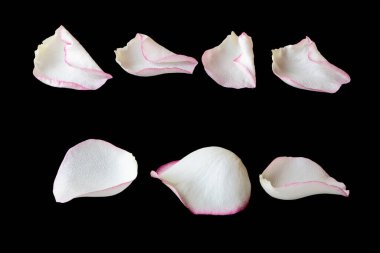 Siyah arkaplanda izole edilmiş renkli taç yaprakları.