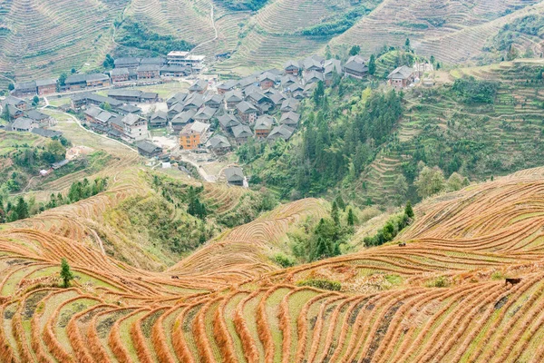 Autumn day view of Rice Terraces near Guilin, Guangxi, China.