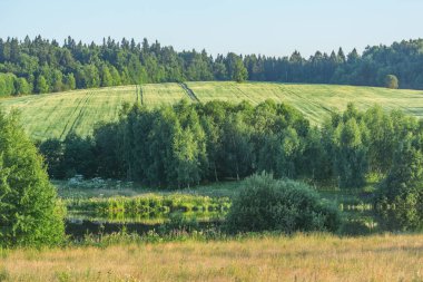 Günbatımında Avrupa 'nın yaz kırsal manzarası.