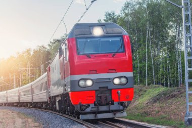 Yolcu treni ormanda hareket eder..