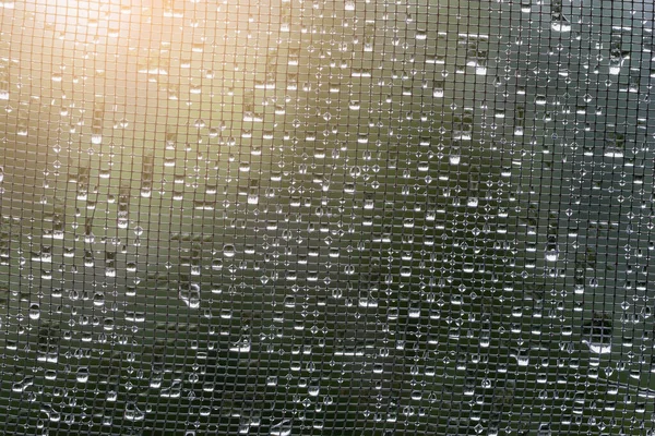 Water Drops Window Net Rain Sunset — Stock Photo, Image