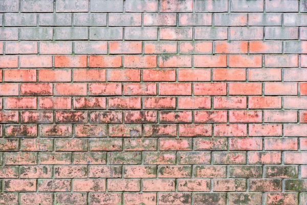 Red Brick Wall Background Dirty Fence — Stock Photo, Image