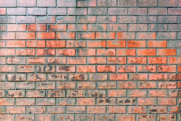Красная Кирпичная Стена Фоне Грязного Забора — стоковое фото