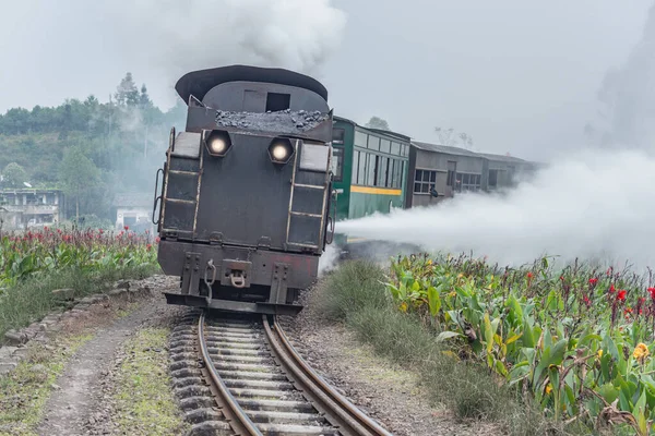 蒸気機関車が駅に接近する — ストック写真