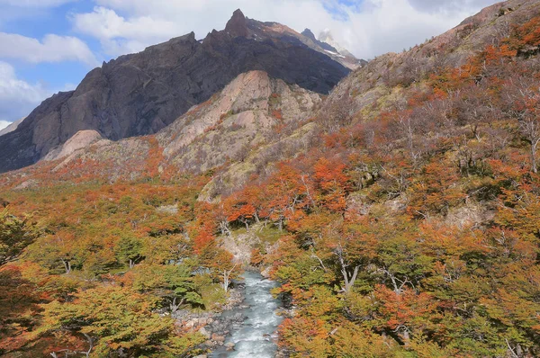 秋天的一天 小树在山溪边流淌 Los Glaciares国家公园阿根廷 — 图库照片