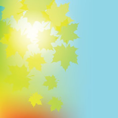 renkli arka plan ile düşen akçaağaç yaprakları.