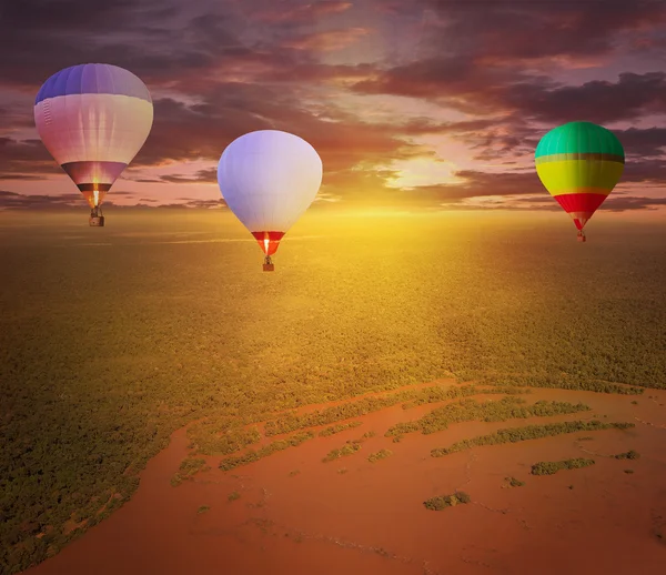 Lot balonów na ogrzane powietrze nad lasów tropikalnych. — Zdjęcie stockowe