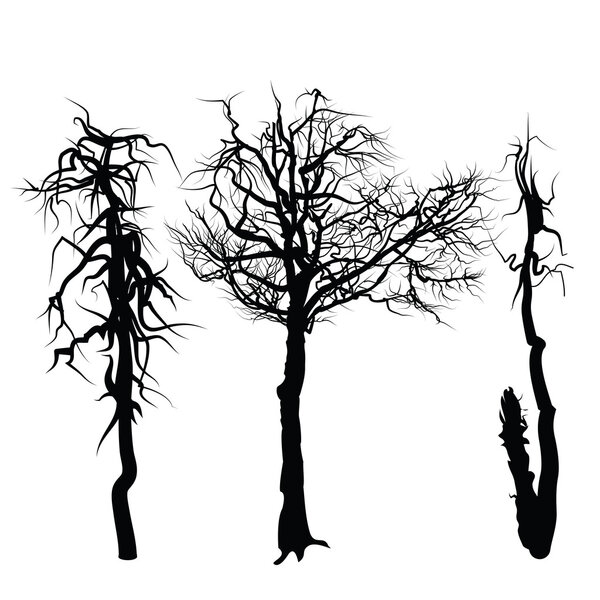 деревья изолированы на белом фоне.