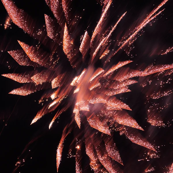 Fuegos artificiales en el cielo nocturno . —  Fotos de Stock