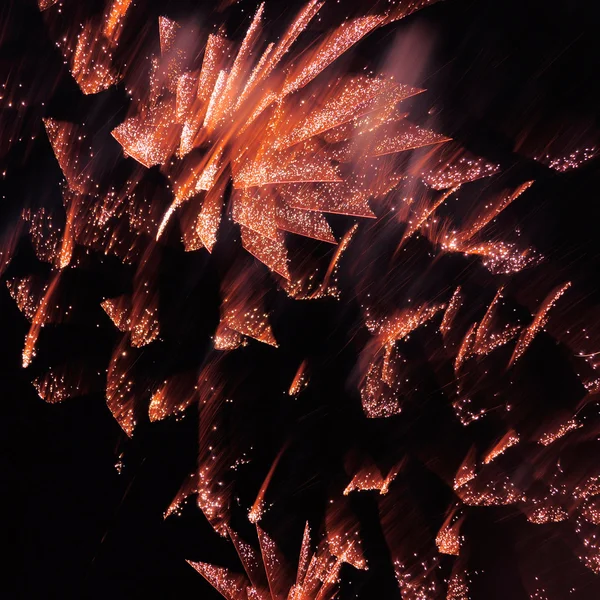 Fuegos artificiales en el cielo nocturno . —  Fotos de Stock