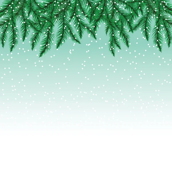 Fir tree branches and snowflakes on colorful background. — Stock Vector