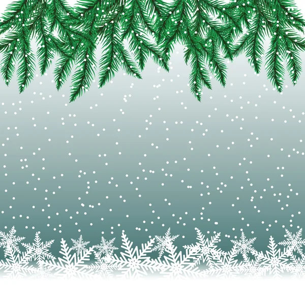 Fir tree branches and snowflakes on colorful background. — Stock Vector