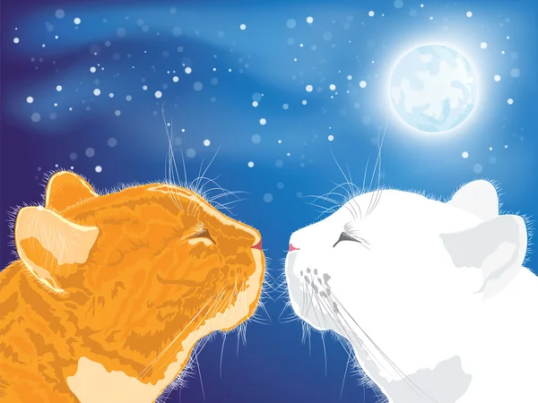 Due amati gatti sullo sfondo del cielo notturno . — Vettoriale Stock