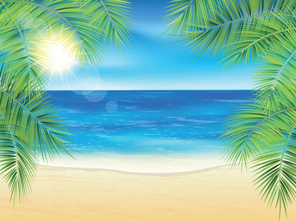 Kum plaj ve günbatımı zamanı, hurma dalları.