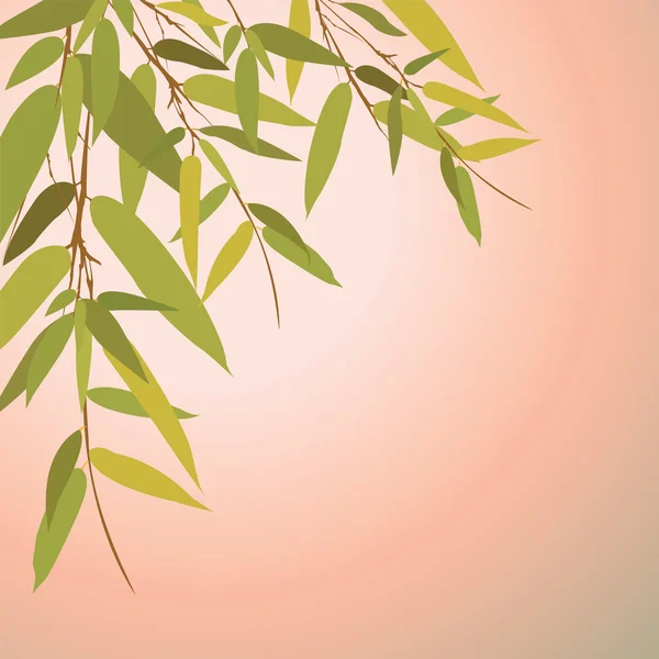 Bamboo trees and leaves at sunset time. — Stock Vector