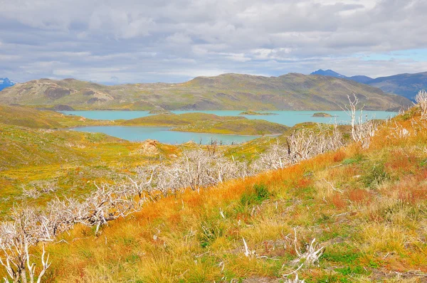 Lake van Torres del Paine National park. — Stockfoto