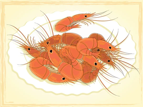 Prepared shrimps on the white plate. — Stock Vector