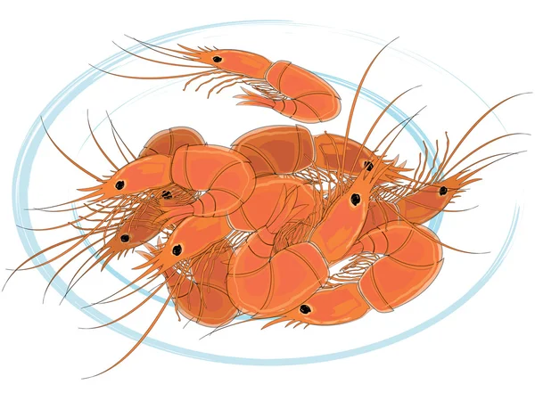 Prepared shrimps on the white plate. — Stock Vector