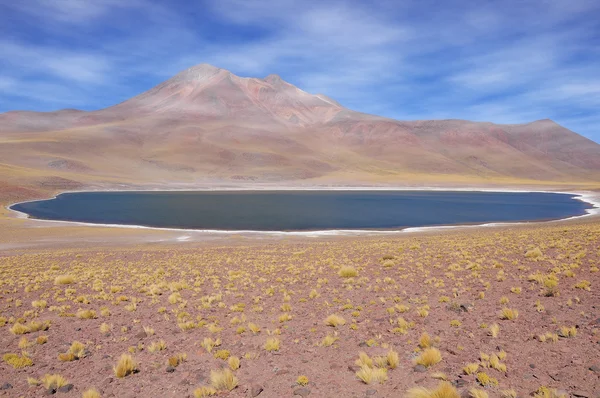 Vista de la Laguna de Miniques . —  Fotos de Stock