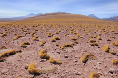 Sabah manzara Atacama Çölü'nde.